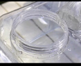 极度空间纯净水桶 矿泉水桶食品级饮水桶手提式带龙头15L自驾户外方形桶  实拍图
