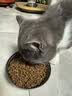 网易严选【小王子联名】全价猫粮 主粮宠物幼猫成猫主粮 均衡营养优选食材 【美毛亮肤】深海鱼虾 1.8kg*1袋 实拍图