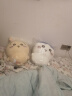 名创优品（MINISO）chiikawa大号站姿公仔毛绒玩偶玩具生日礼物女母亲节礼物 小八 实拍图