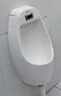 宛陶（wanTao）家用小便器陶瓷感应小便斗壁挂式男士尿斗卫生间挂墙式成人小便池 8216挂墙式(地排水) 实拍图