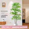 未欧南天竹仿真绿植盆栽高端轻奢室内客厅装饰摆件大型造景落地假花树 180cm 4杆南天竹+轻奢花盆 实拍图