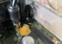 YEE鱼缸加热棒自动恒温防爆加温棒水族箱乌龟加热棒用品不锈钢加热棒 不锈钢加热棒HC50w 实拍图