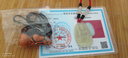 普生祥和田玉吊坠本命佛八大守护神男女挂坠 生肖兔：文殊菩萨 中号：长约4.8cm 实拍图