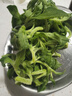 【送沙拉酱】新鲜冰草冰菜沙拉菜火锅即食生吃生菜送沙拉酱西餐厅 新鲜冰草2斤 实拍图