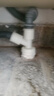 爽威 洗衣机地漏三通接头 洗衣机排水管厨房下水管地漏三通防臭盖接口两用三合一接头 DL02 实拍图
