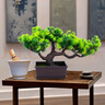 匠心绽放五头松迎客松长寿松仿真松树盆景绿植造景装饰新中式摆件20307 实拍图