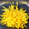 菊茗天下菊花茶【100朵完整大花+杯】金丝皇菊胎菊贡菊花草茶独立包菊花茶 【共100朵+杯】 【泡开7-9cm】 实拍图