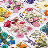 澳颜莱 真树叶植物标本干花压花幼儿园手工贴画diy材料包制作书签真花朵 干花19片【国色生香系列A款】 实拍图