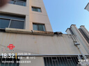 奥易得迷你消音射钉吊顶神器炮钉枪打钉钢钉线槽水电工木工绿色JS 单枪+50圆钉 实拍图
