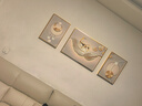 诗六艺家饰客厅装饰画北欧现代简约沙发背景墙挂画三联画大气轻奢壁画晶瓷画 羽鹿生辉（铝合金外框） 晶瓷画左右35*50+中间70*50亮面 实拍图