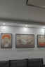 Sixpoetry 客厅装饰画现代简约沙发背景墙壁画轻奢三联晶瓷画大气高档挂画 福禄生花（铝合金外框） 镶钻画左右50*70+中间100*70亮面 实拍图