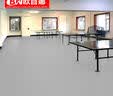 欧百娜乒乓球地胶室内专业防滑布纹乒乓球室地垫pvc塑胶地板运动地胶垫 实拍图
