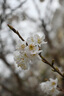 尼康（Nikon） 尼克尔Z 24-200mm f/4-6.3VR全画幅变焦镜头 微单相机适用 尼康Z卡口 67mm 实拍图