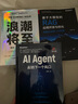 AI Agent：AI的下一个风口  ChatGPT DeepSeek大模型的机遇 deepseek教程 实拍图