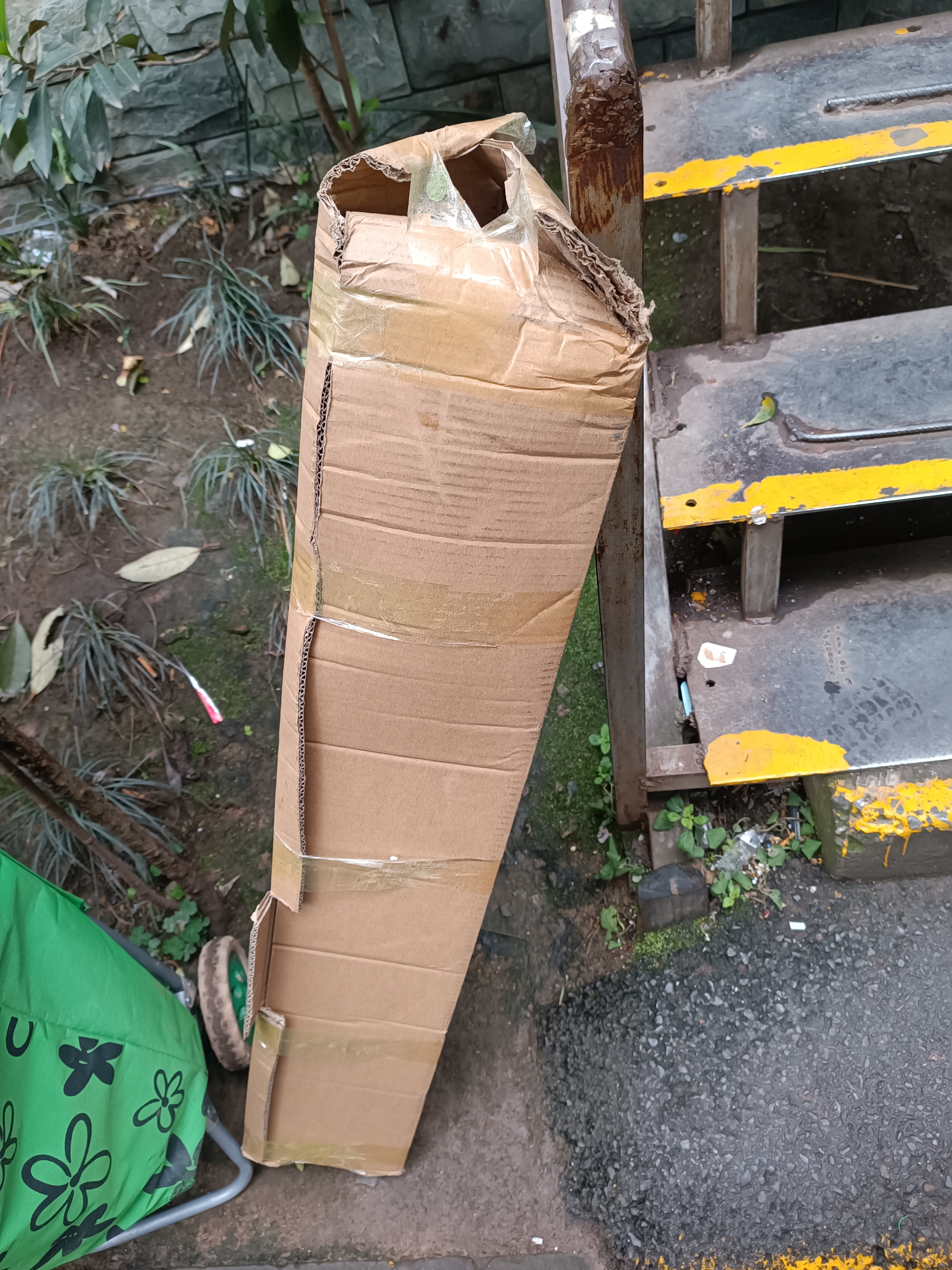 香林农台湾树葡萄嘉宝果树苗沙巴四季开花当年结果盆栽南方种植庭院绿植 沙巴4年苗80-100cm 实拍图
