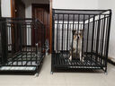 喵先生狗笼中大型犬小型犬狗笼子带厕所家用宠物狗窝围栏狗屋狗狗用品 六面全方管加固款125*95*104cm 实拍图