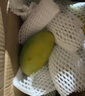 沐小七果蔬正宗金煌芒果【JD顺丰极兔速运】新鲜水果青皮芒果水果礼盒送礼 9斤【家庭畅享-超值装】净8.5斤 尝鲜果【单果150g+】实惠 实拍图