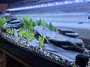 疯狂水草鱼缸造景装饰溪流石底部砂石天然溪流缸南美缸造景石乌龟躲避晒台 溪流缸造景套餐（60-70cm缸） 实拍图