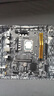 威刚（ADATA）XPG威龙Z1 DDR4 3600 16GB 金色台式机内存*2 实拍图