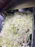 FEST切葱花机商用切菜机切菜神器小米辣大葱切葱花香菜 蔬菜豆角韭菜切段 土豆胡萝卜切片机 【京东配送】大视窗/加厚全钢机身/旗舰升级款RC-F23 实拍图