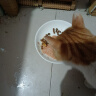 笑宠猫粮全价主食餐包蒸鲜湿粮成猫幼猫猫饭主食猫条猫罐头湿粮包 混合口味 主食猫饭*2袋【尝鲜装】 实拍图