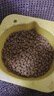 冠邦猫粮 成猫幼猫通用全价猫粮 鸡肉沙丁鱼蛋黄配方 1.5kg 实拍图