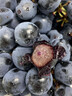 静羽云南夏黑蓝莓葡萄【顺丰】无籽提子新鲜现摘大颗粒孕妇时令水果 夏黑葡萄5斤【一级果礼盒装】 源头直发 实拍图