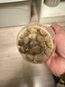 礼运堂覆盆子中药材500g非特级正宗覆盆子茶天然无硫覆盆干果泡酒 覆盆子【1罐】共100克 优质无硫 实拍图