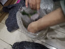 桌面盆栽盆景 发财树 盆栽  陶瓷盆 办公室内阳台复古花盆栽好发货 奋斗发财树 含盆 实拍图