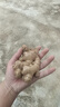 云南小黄姜 现挖生姜 自种老姜鲜姜 罗平生姜 新鲜蔬菜 火锅食材 小黄姜 带箱9斤（精选装） 实拍图
