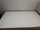 海马飞雪床垫席梦思天然椰棕乳胶独立弹簧床垫酒店厚薄双人家用榻榻米垫子 15cm豪华款(乳胶+椰棕+独立弹簧) 1.2x2米 实拍图