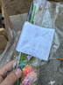 燧木 太阳能庭院灯户外防水家用花园院子草坪室外装饰光纤蝴蝶地插灯 1支装-6头光纤蝴蝶灯-彩光 实拍图