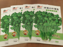 四季蔬菜种子大全菠菜香菜生菜油麦菜苋菜鸡毛菜芹菜矮脚黄蔬菜籽 四季小香芹种子1包约10000粒 实拍图