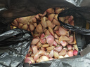 仙果春天精打细蒜 新鲜生鲜蔬菜多瓣大蒜头无添加正宗 干大蒜中果 2500g 实拍图