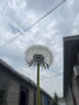 红袖【蝴蝶之舞】端庄大气连衣裙夏季2025新款女装收腰方领显瘦碎花裙 米底黑花670 L 实拍图