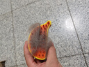 派乐特宠物喷雾按摩梳子一键喷雾防脱浮飞毛洗澡猫狗梳毛神器撸猫 实拍图