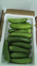 【超市品质】山东新鲜水果黄瓜嫩青瓜生吃蘸酱生鲜蔬菜减肥搭配 山东水果黄瓜 4斤 带箱 实拍图
