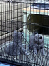 京喜自营-专用品牌猫笼子家用带厕所大自由空间猫舍送货上门 折叠款-黑色双层59*41*50 套餐一：三件套 实拍图