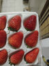樱鲜JD顺丰多地次日达非丹东99牛奶红颜奶油酸甜云南草莓新鲜水果年货 5盒 甄选果【75枚】单果18-26g 实拍图