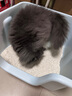 all for paws玉米豆腐猫砂宠物猫咪豆腐猫砂低尘除臭结团强吸水可冲清洁用品 【尝鲜装5.4斤】原味玉米豆腐砂 实拍图