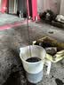 嘉实多机油5w-30金嘉护磁护5w-40极护 极护全合成 SP级 5W-30 4L 实拍图