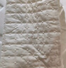 九洲鹿防水床笠隔尿可水洗夹棉床笠罩秋冬季1.8米床垫套罩保护套床套 实拍图