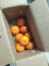 尔蝶广西沃柑新鲜橘子当季时令水果桔子整箱砂糖蜜橘柑橘应季水果礼盒 精选3斤装 净重2.8斤 大果60-70mm 实拍图