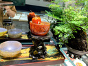 斯庭阁木头根雕原木根雕底花盆雕刻工艺品摆件奇石底座实木镂空根雕 长7宽7高9厘米 实拍图