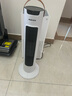 奥克斯（AUX）取暖器/电暖器/电暖气家用/取暖电器/电暖气电暖风热风机电热扇遥控塔式暖风机NSBE-200GR 实拍图