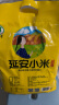 秦食陕北延安黄小米5斤袋装 新小米 油小米 小米粥 杂粮 月子米  实拍图