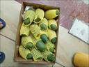 百橙恋广西百色桂七芒果 桂七大芒果水果礼盒新鲜热带水果整箱中秋送礼 精品大果5斤【普通装】 实拍图