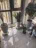 奥美优带轮花盆托盘万向轮移动滑轮底座大号圆形塑料树脂加厚增高滚轮盘 实拍图