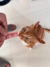 领先鸡肉主食猫条14g*15条成幼猫罐头全价猫粮湿粮零食营养补水 实拍图