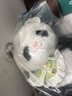 威尔通（WELTSTON）毛绒玩具布娃娃玩偶抱枕生日礼物女生礼品 大熊猫萌兰公仔45cm 实拍图